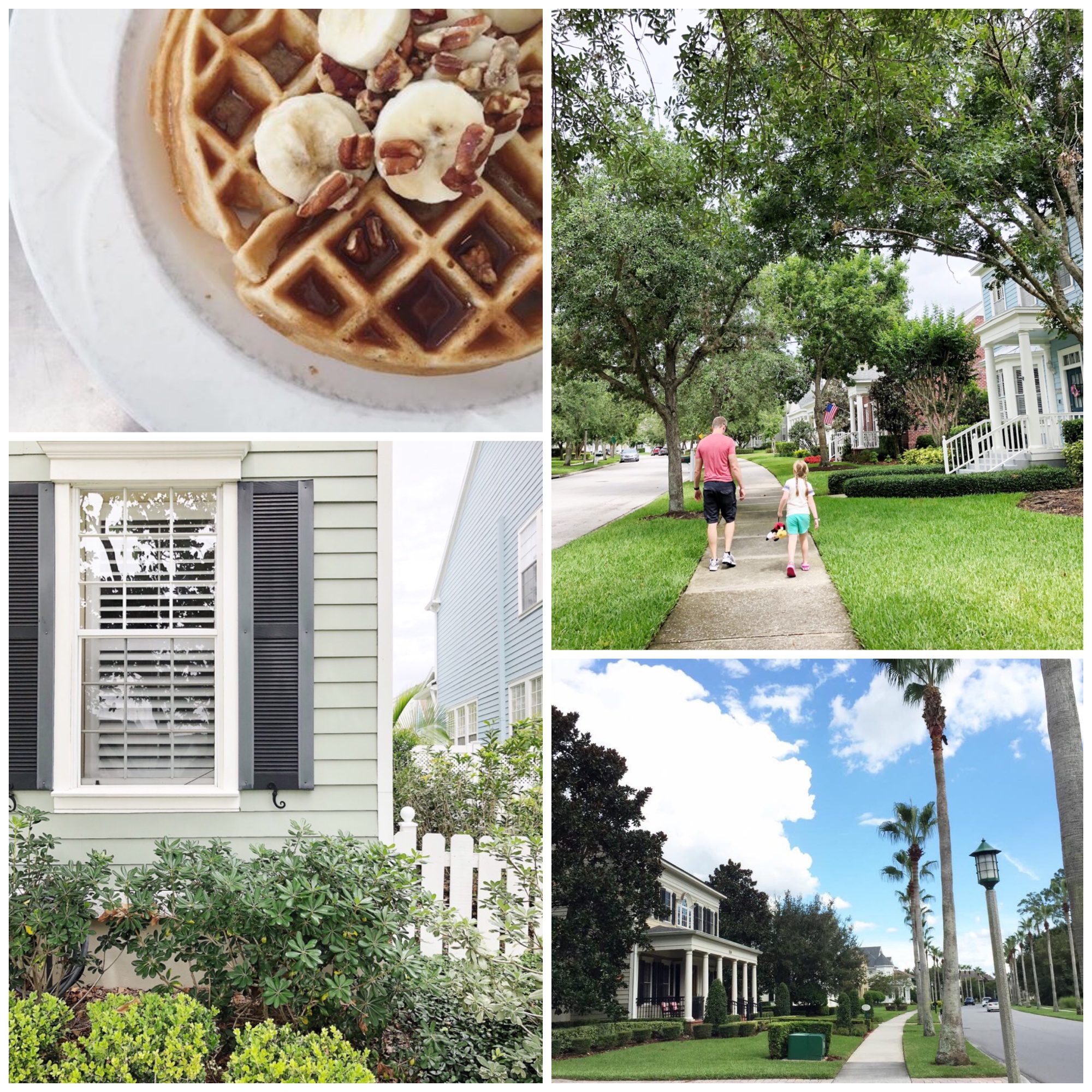 fabulous places guide to disney world and florida celebration