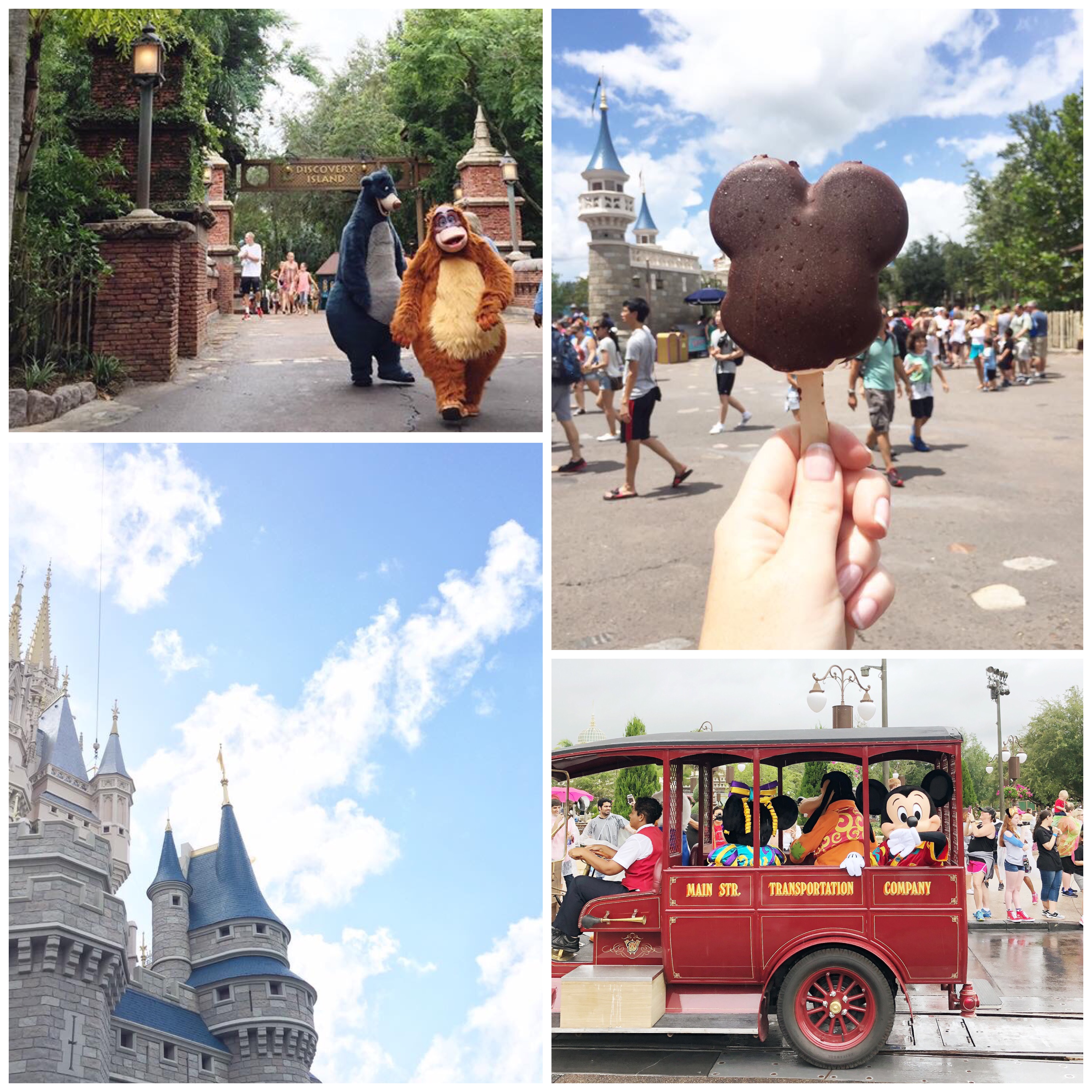 fabulous places guide to disney florida 